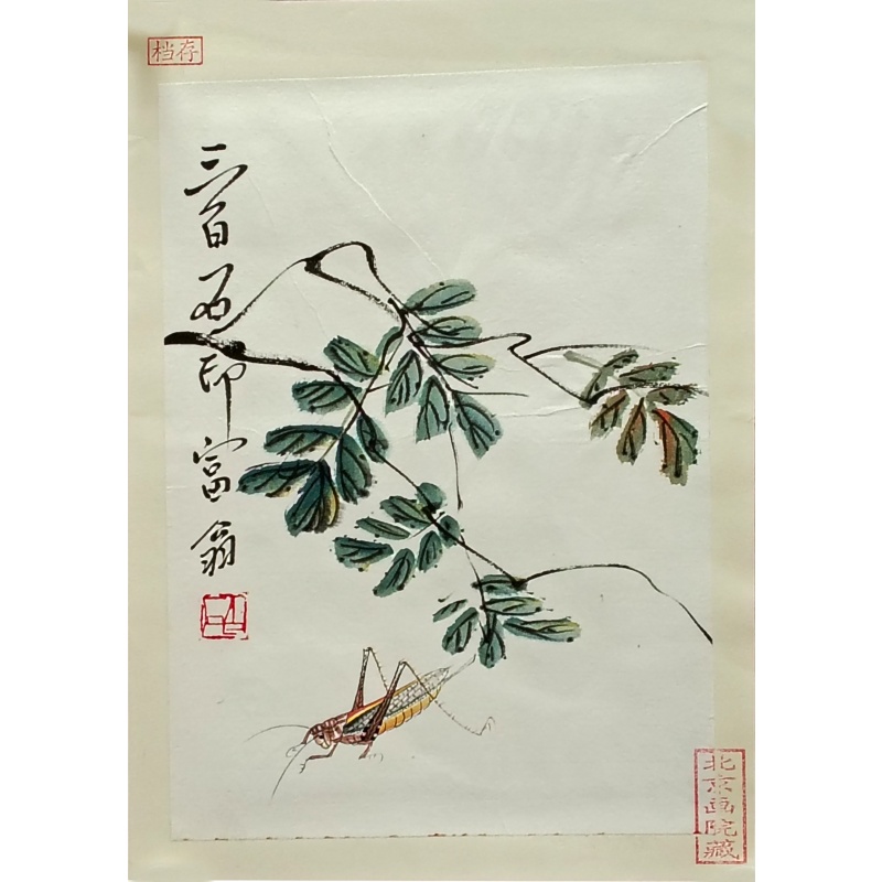 草虫 齐白石（款）8198