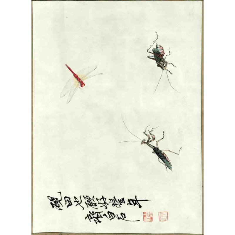 蜻蜓画 齐白石（款）8343