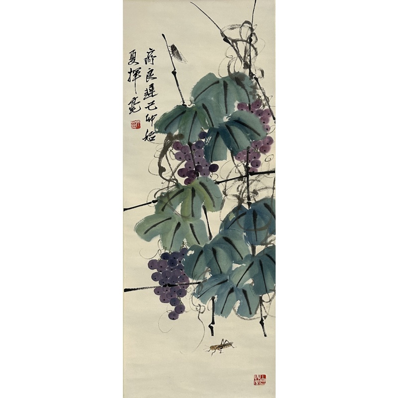 葡萄 齐良迟（款）7475