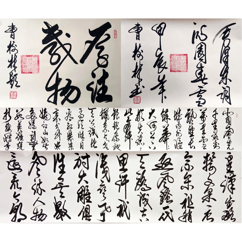 沁园春.雪  6942  曹树林（款）