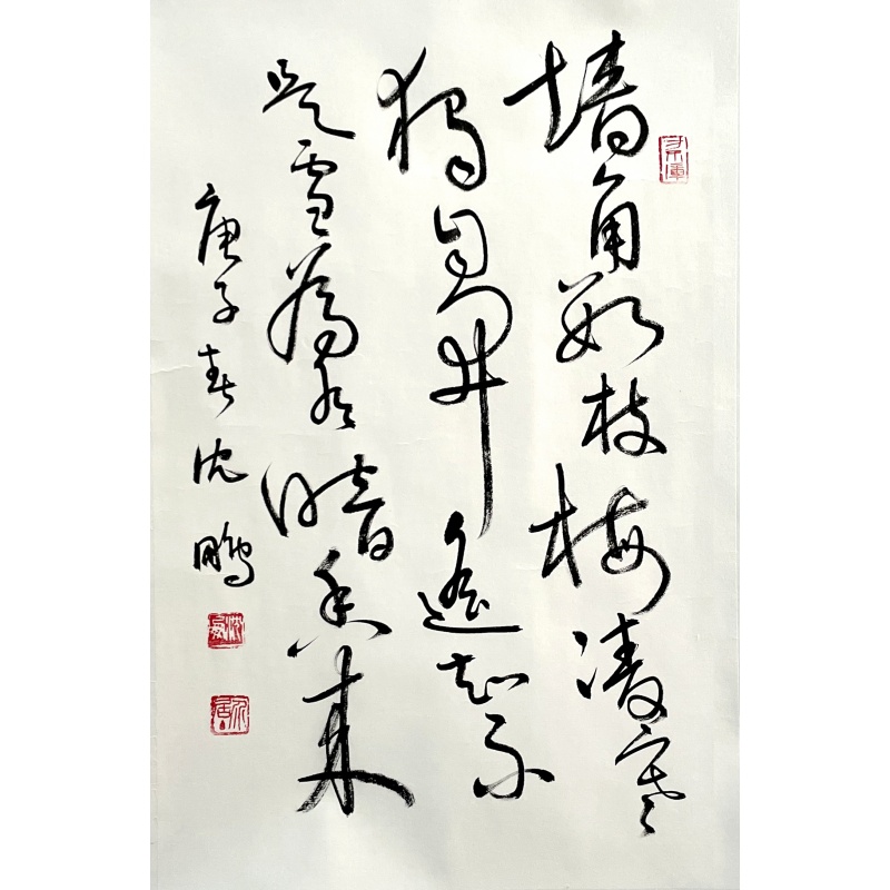 梅花  沈鹏（款）  6776
