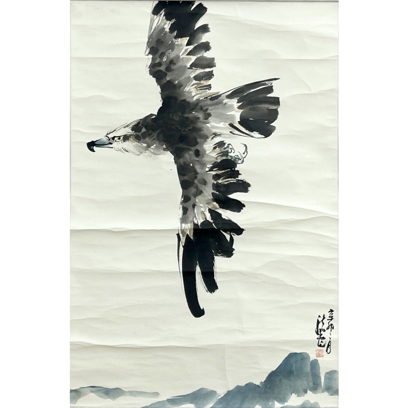 老鹰  龙彪（款 ）  50659