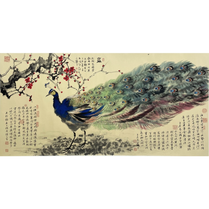 孔雀  52061  周虹岐（款）