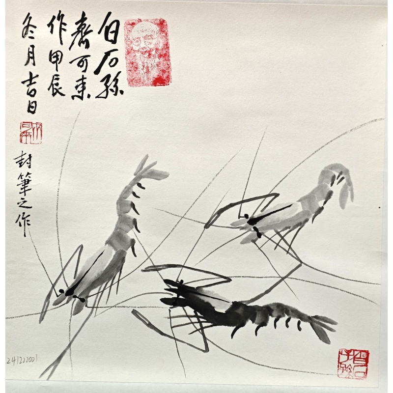 虾  齐可来（款）  801003