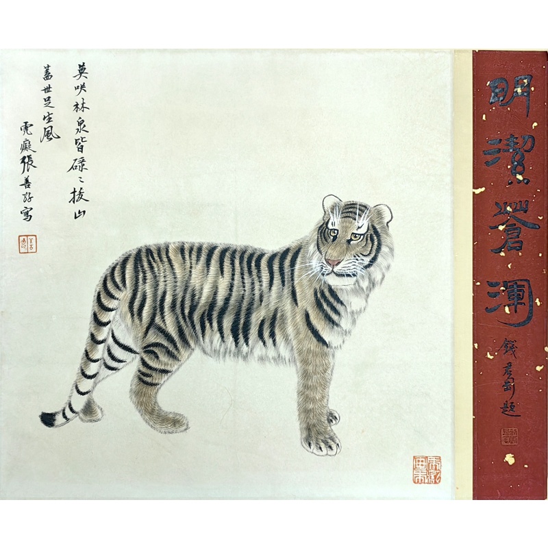  双人合作 虎  张善孖 钱君匋（款）8672