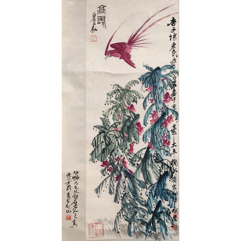 高寿 齐良芷 （款）7914