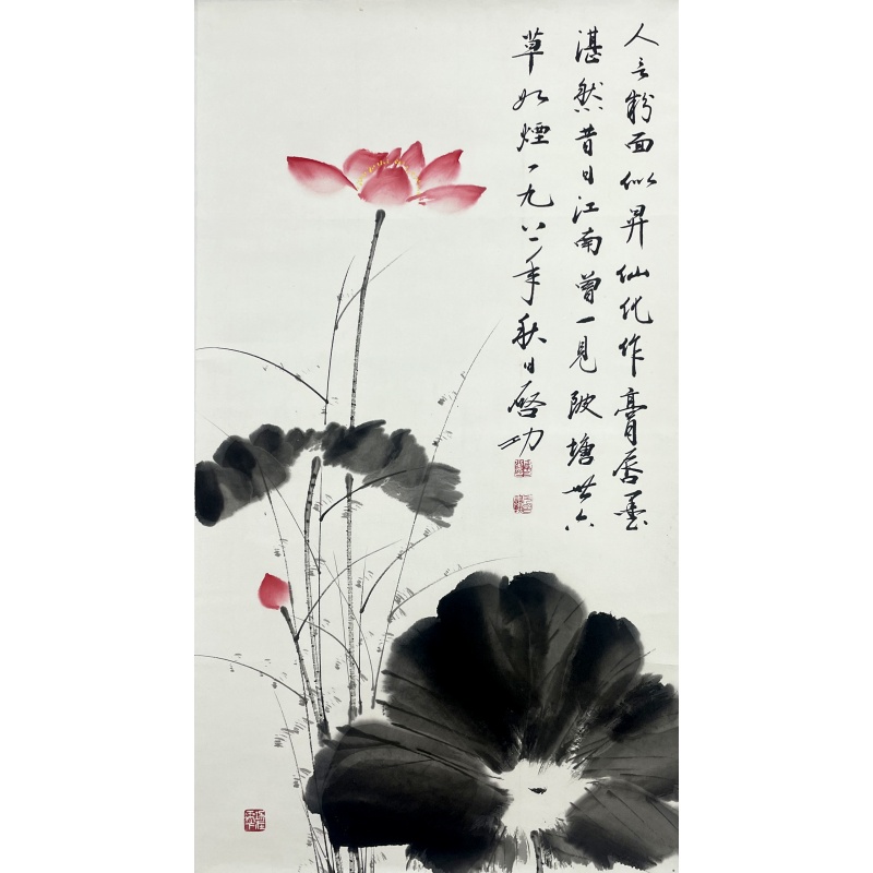 荷花53360  启功（款）