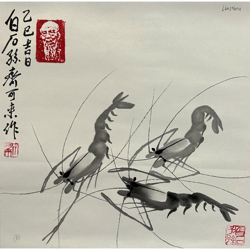 虾 齐可来（款）54425
