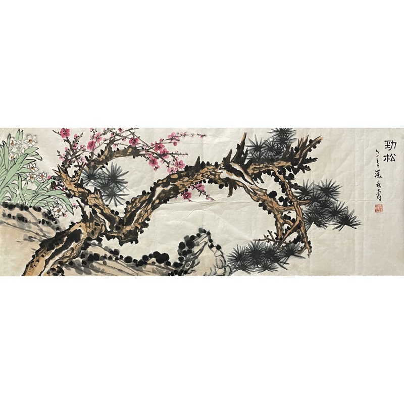 劲松850075