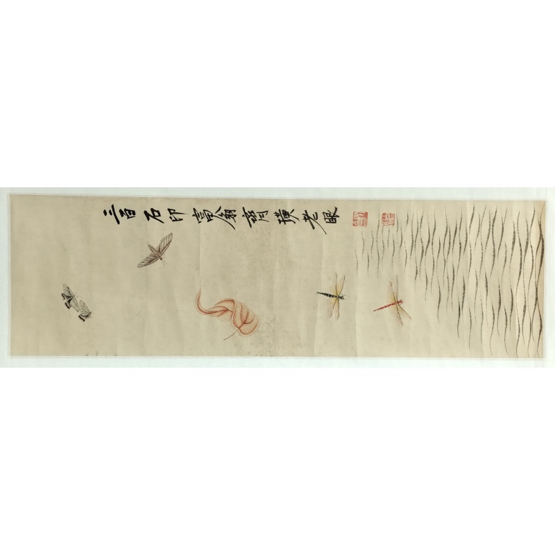蜻蜓 齐白石（款）​840029