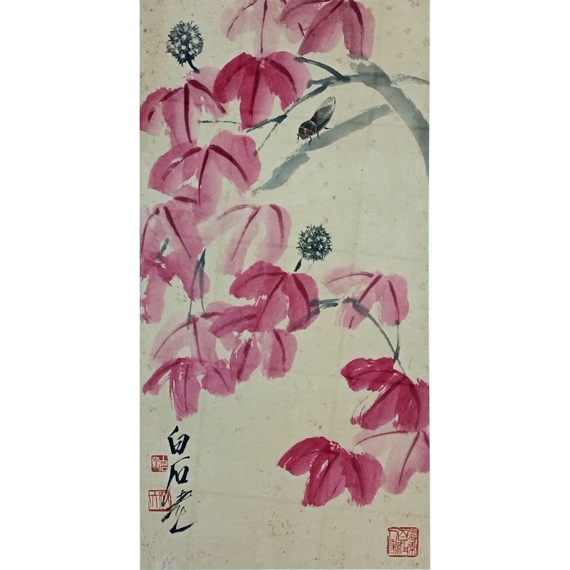 精品虫草系列  齐白石（款）  54778