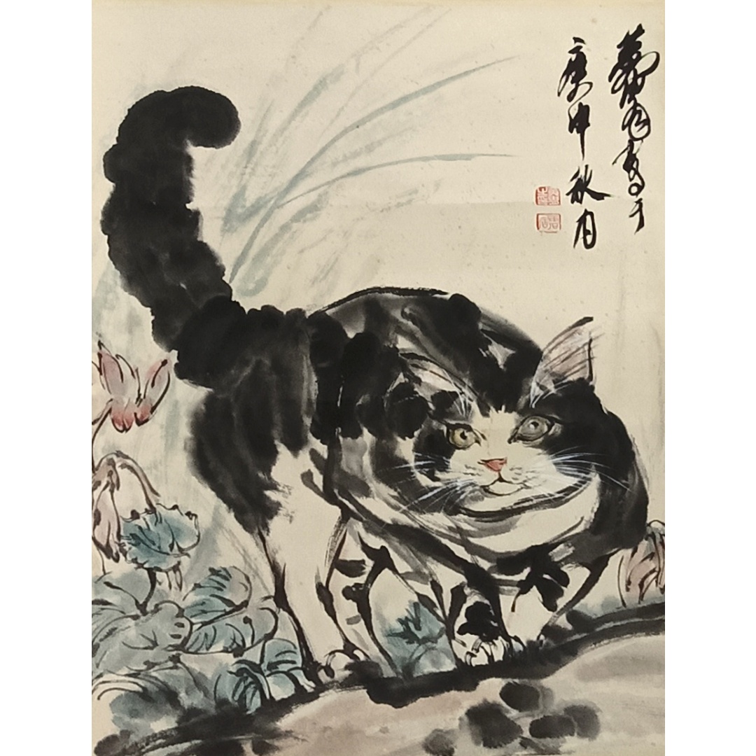 猫  50073  黄胄（款）