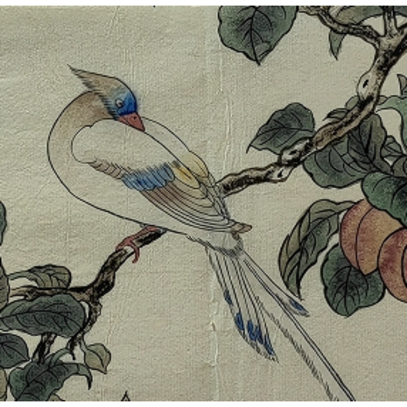 花鸟画 梅兰芳（款）52199
