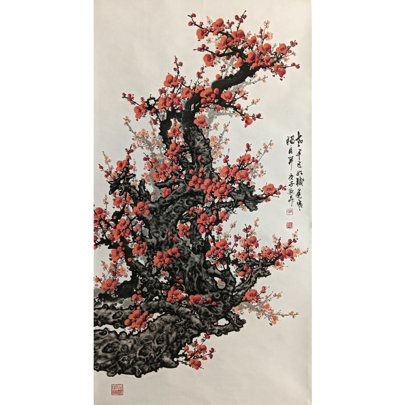 红梅 冷延升（款）51351