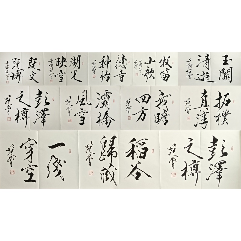 书法册页 范曾（款）51580