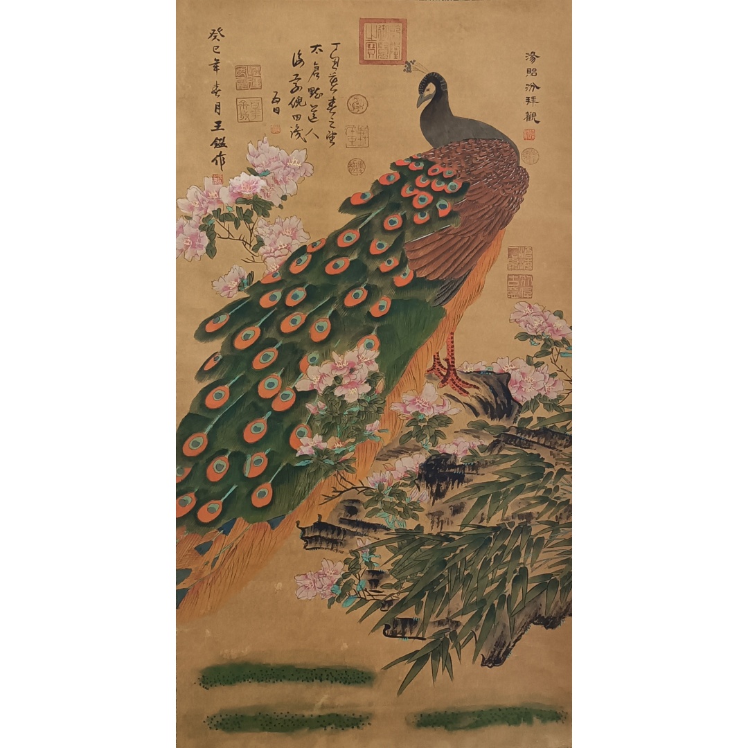 孔雀图55431  王鉴（款）