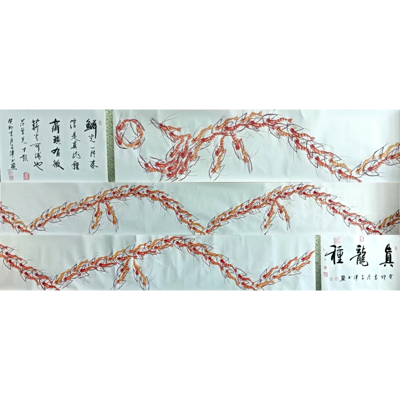 真龙种彩虾53340李子伟（款）