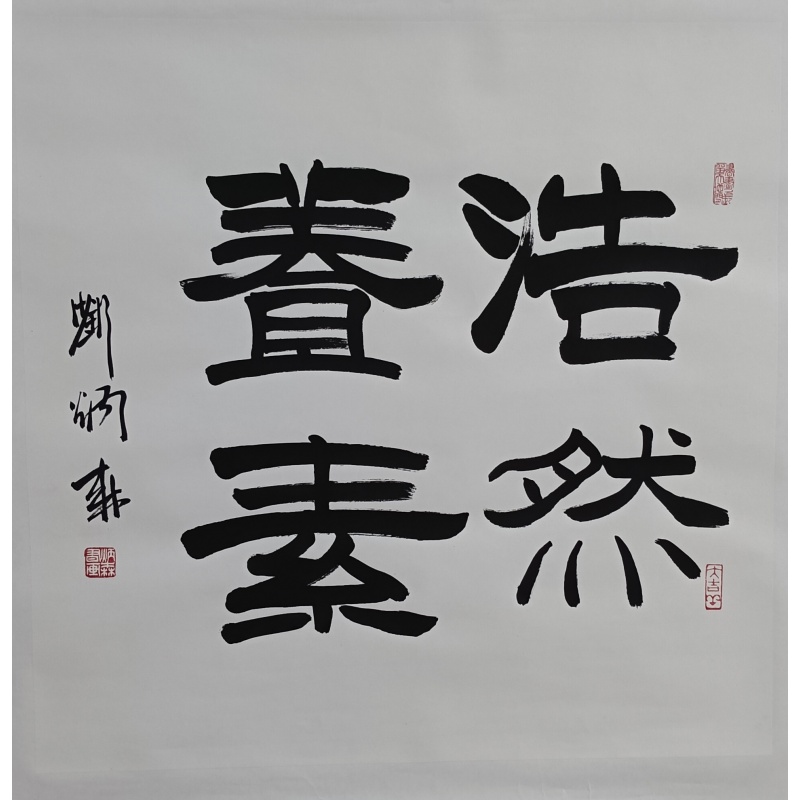 浩然养素 刘炳森（款） 824019