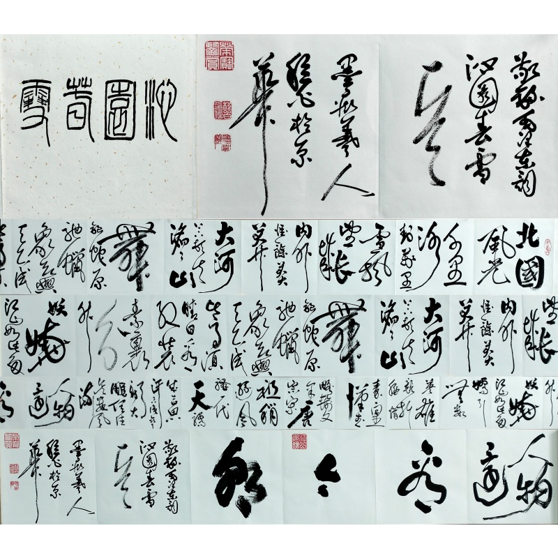 沁园春雪册页 程白（款）55622