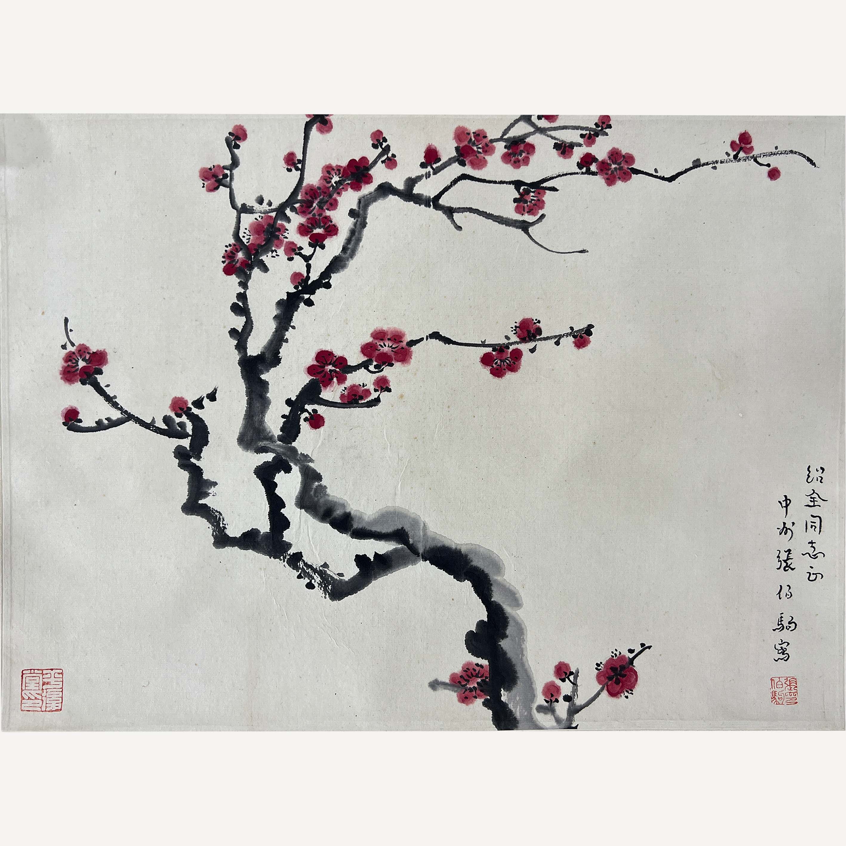 红梅图  256037  张伯驹（款）