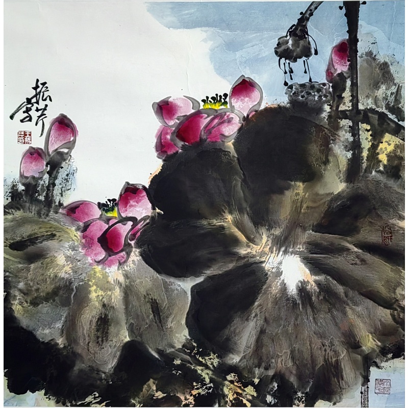 荷花    53735