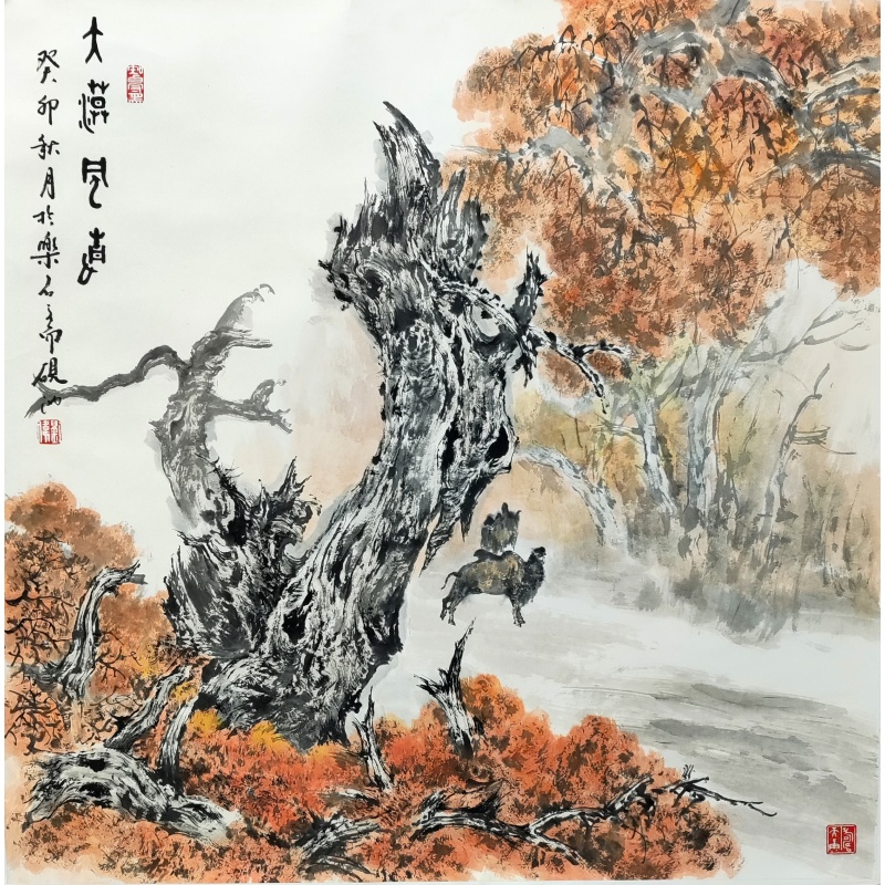 大漠风景4533