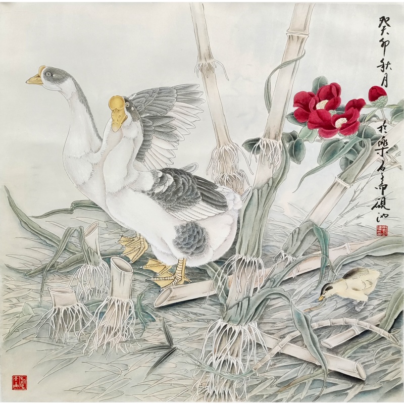 鸿雁4229