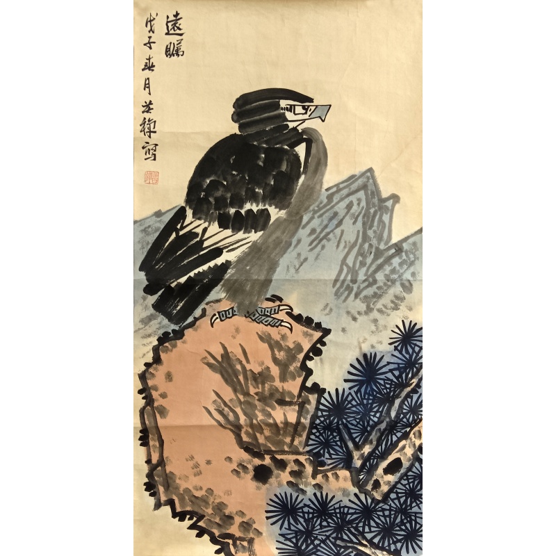 远瞩  806104