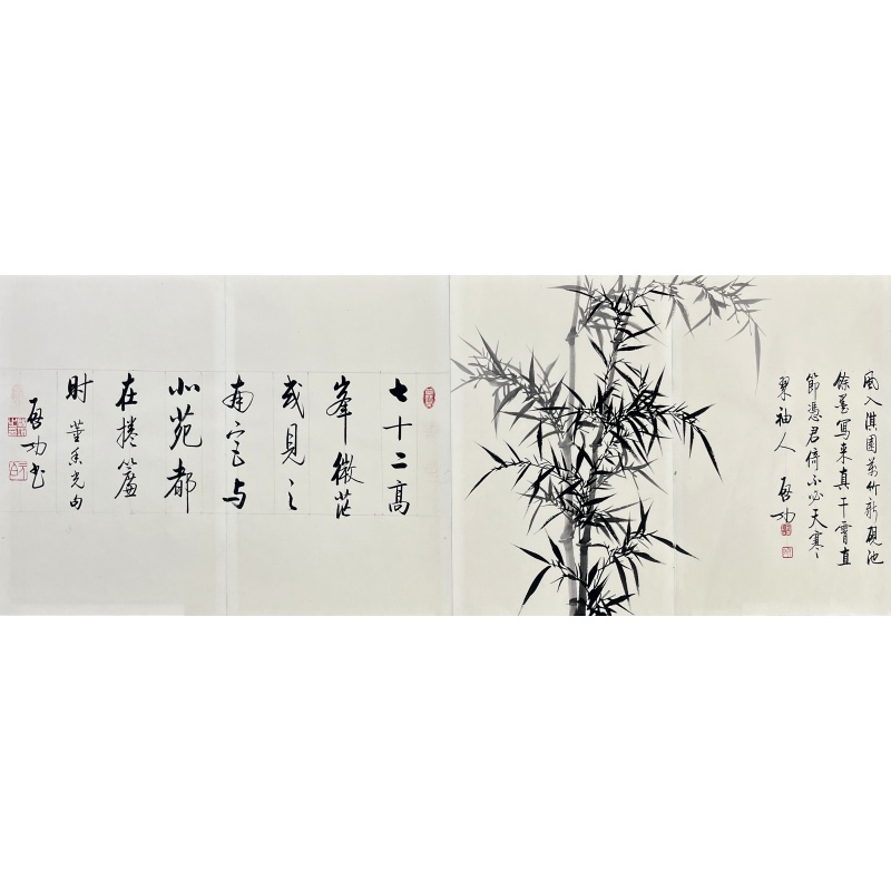 竹子册页55163
