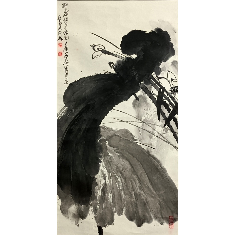 墨荷  806111