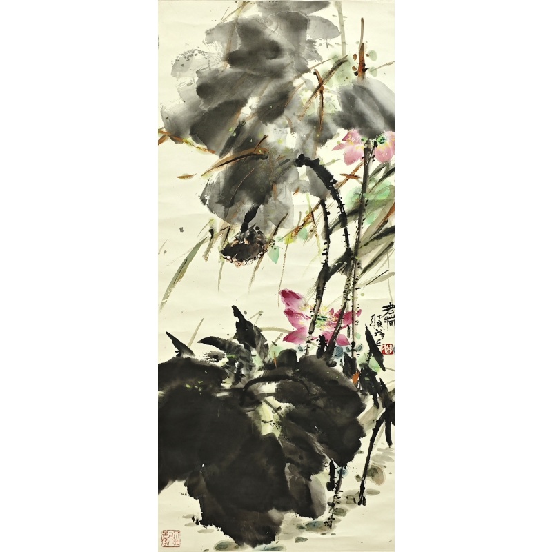 荷花59446