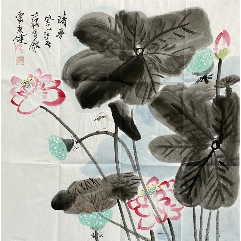 荷花56353
