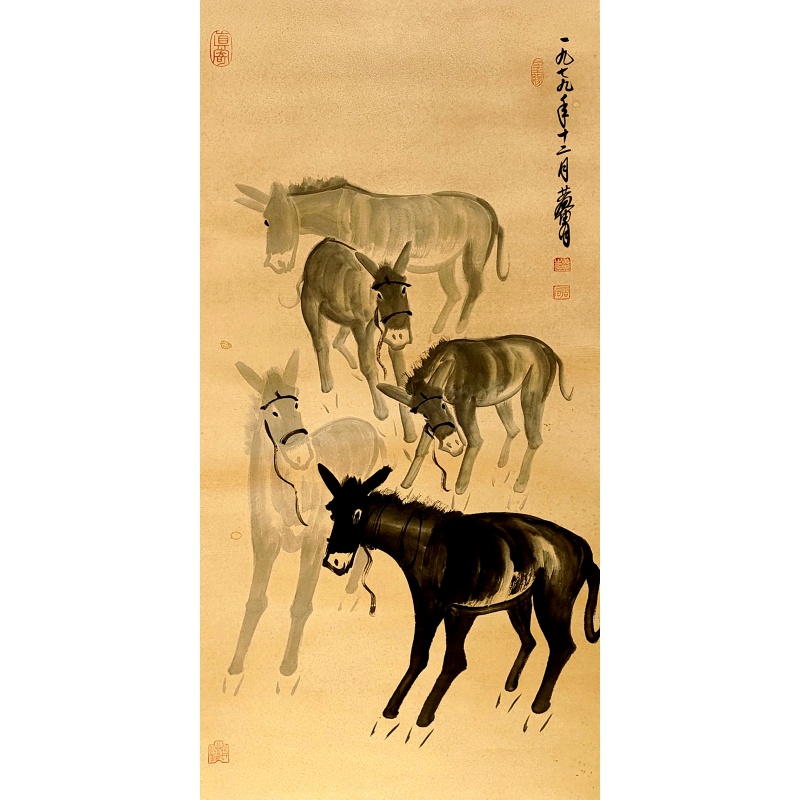 驴56562