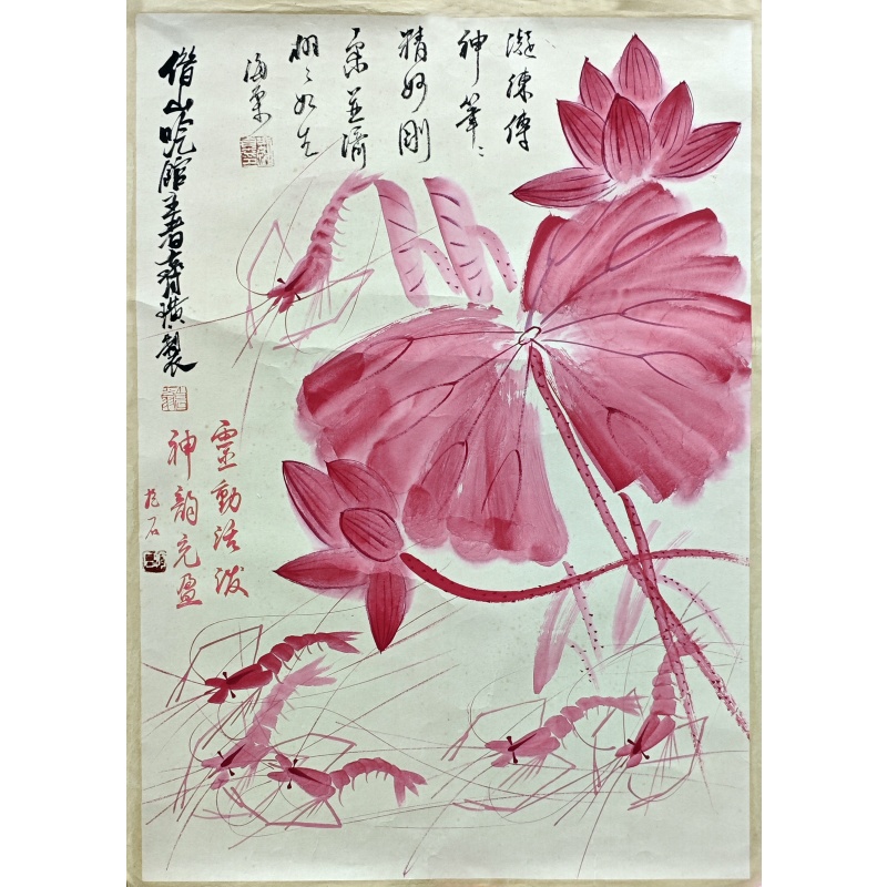 荷花55178