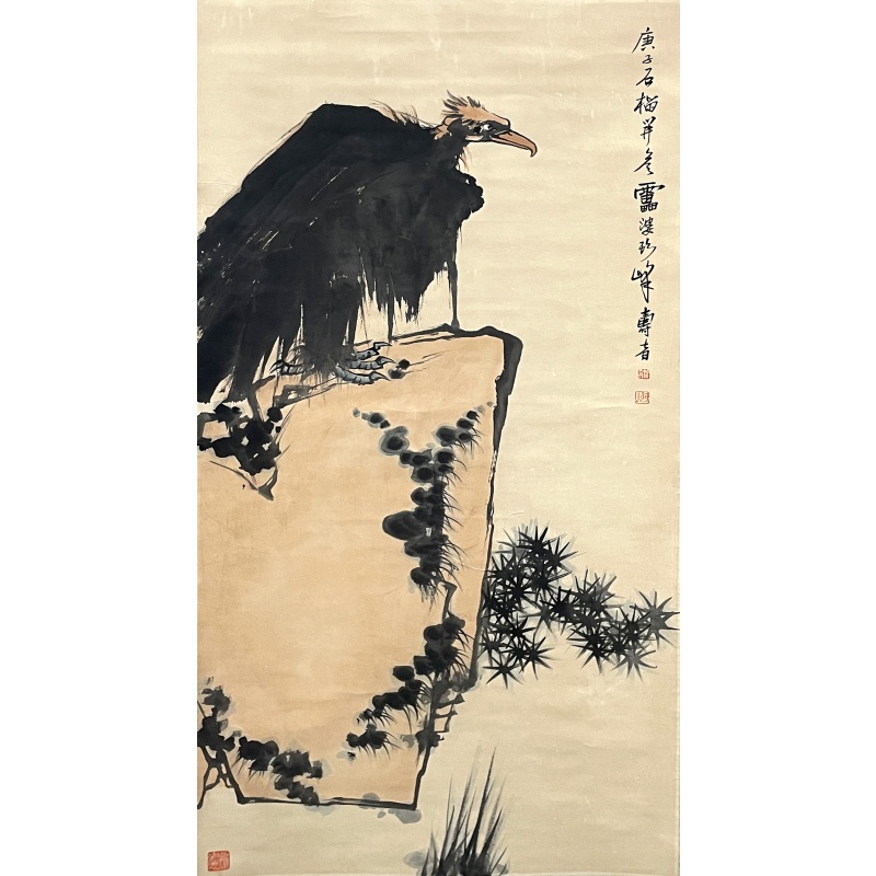 松鹰图56064