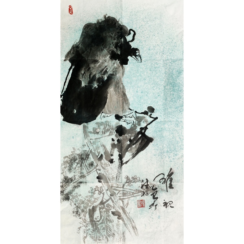 雄视55325