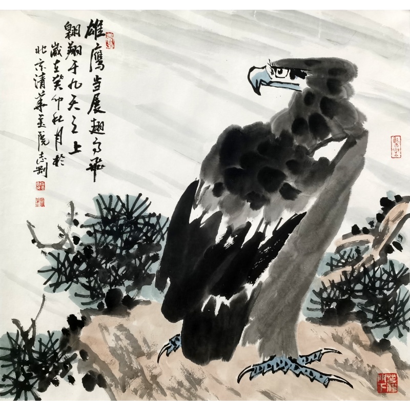 鹰58721