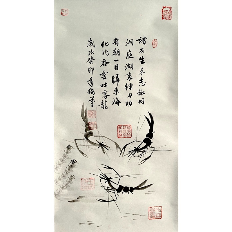 墨虾图55791