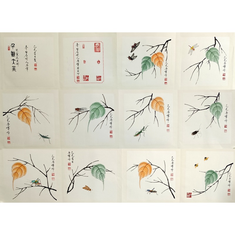 贝叶虫草  59443
