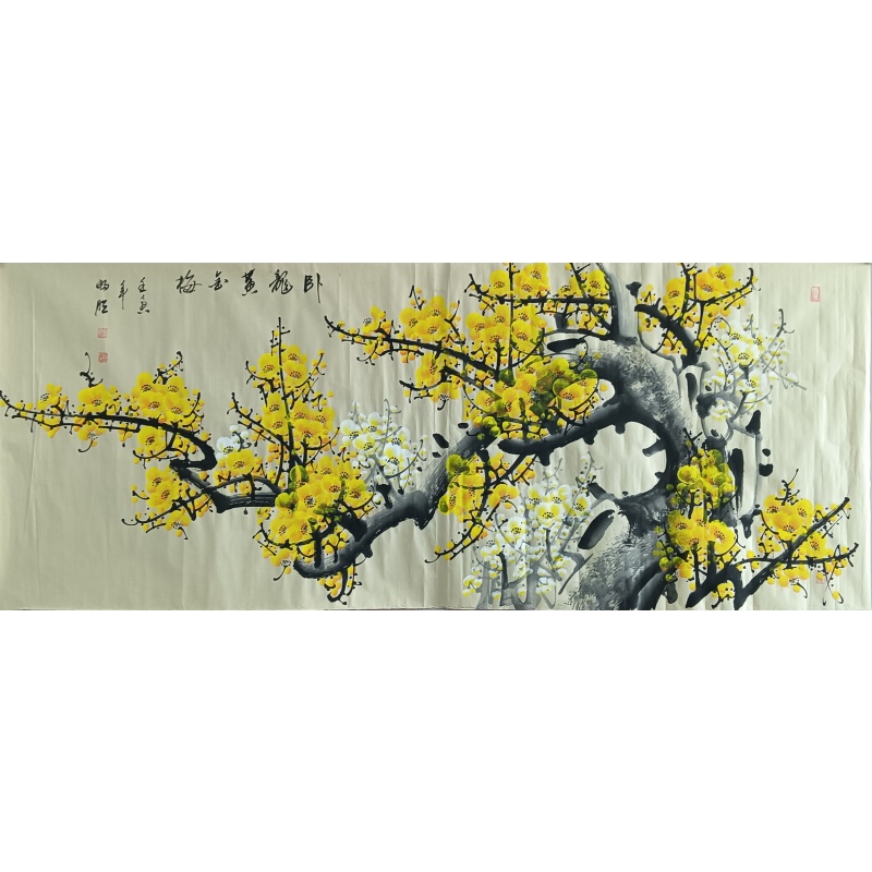 卧龙黄金梅 822391