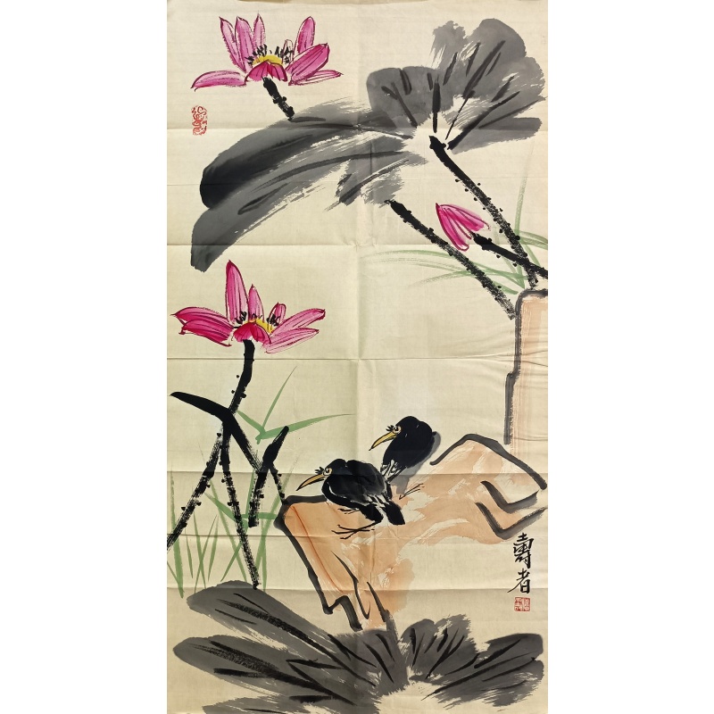 荷花 827025