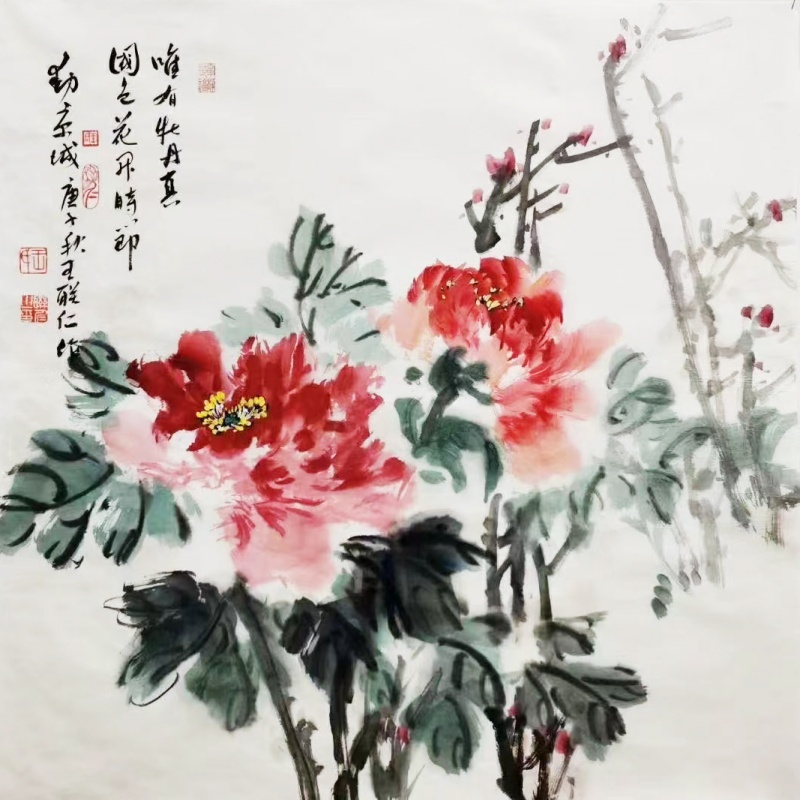 牡丹图  804028