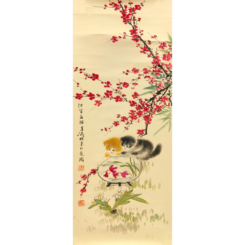 猫57944