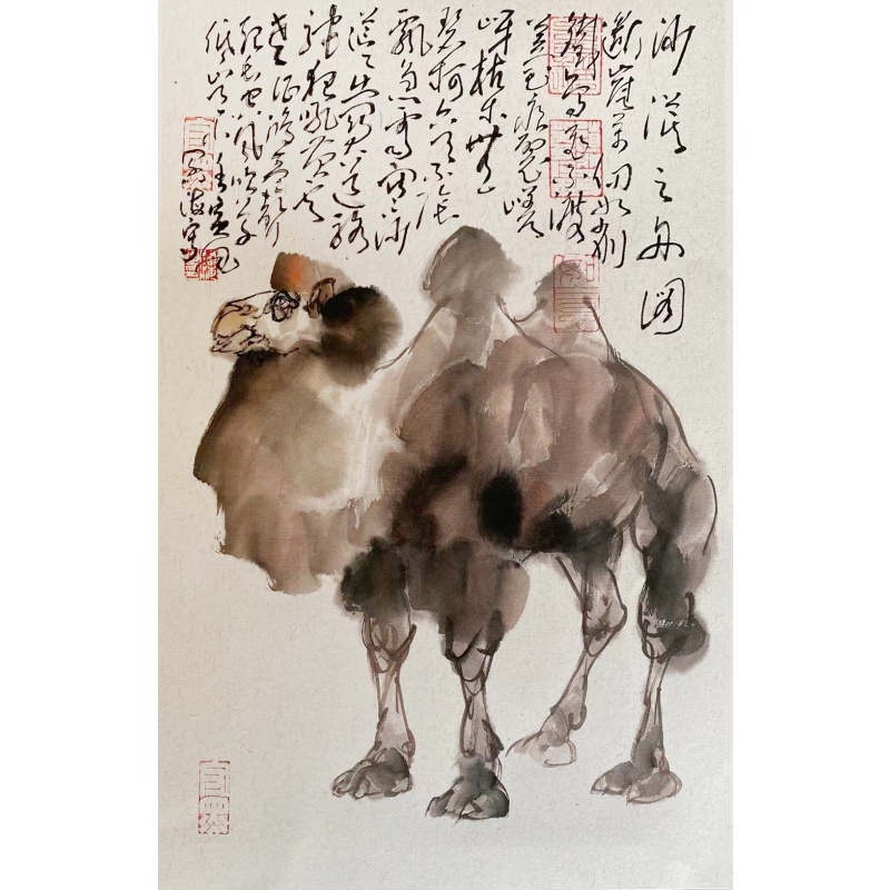 沙漠骆驼图  804025
