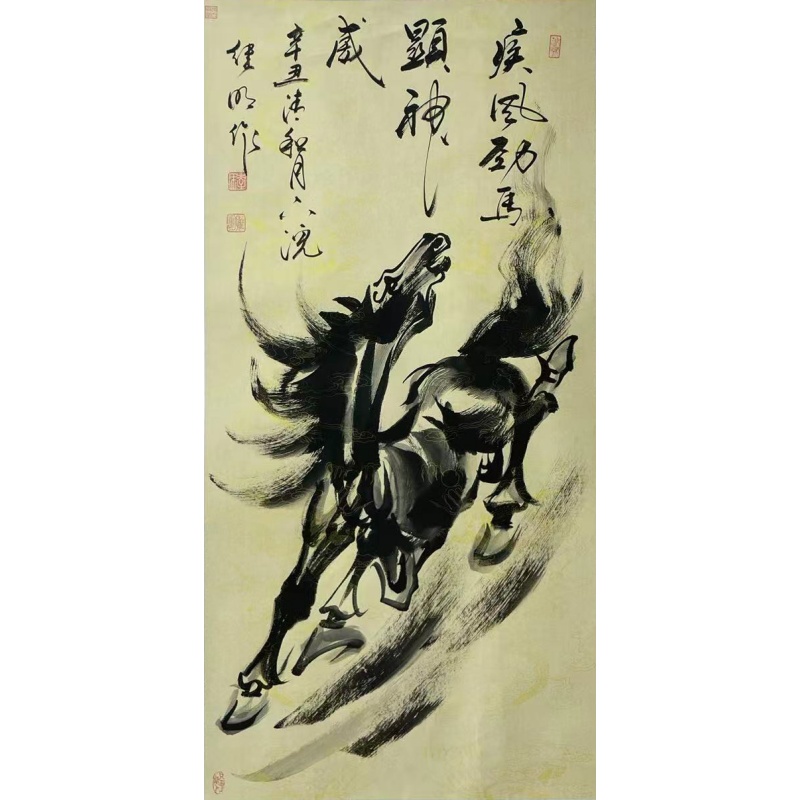 疾风劲马  56555