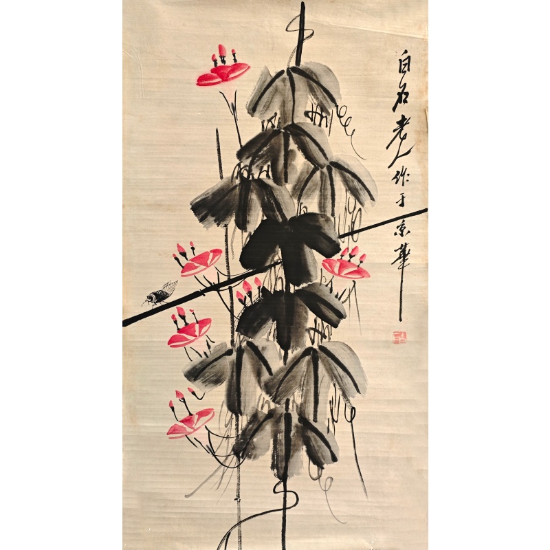 虫草  53029