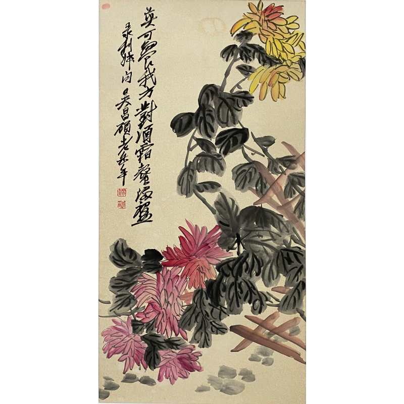 菊花图  58287