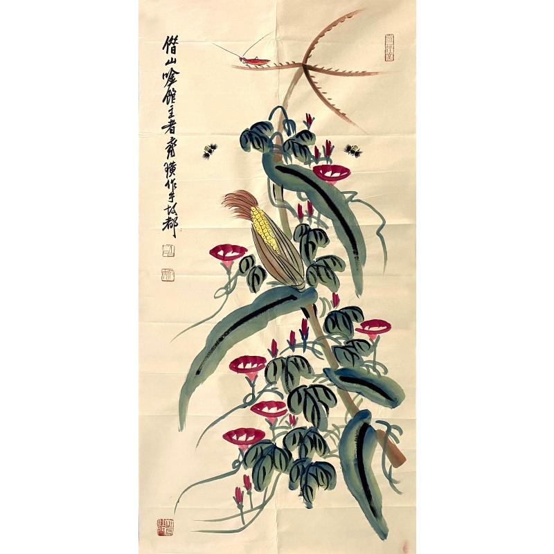牵牛花56651