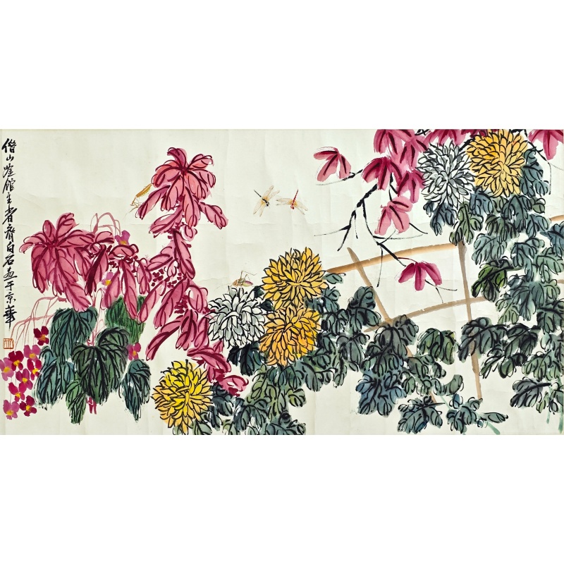 菊花  58470