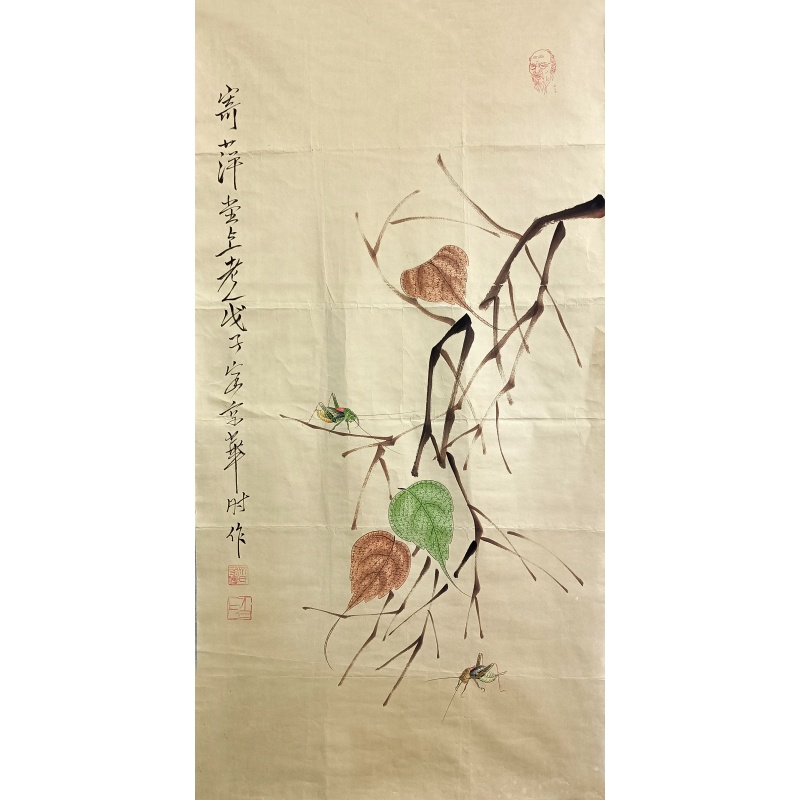 贝叶虫草  58350